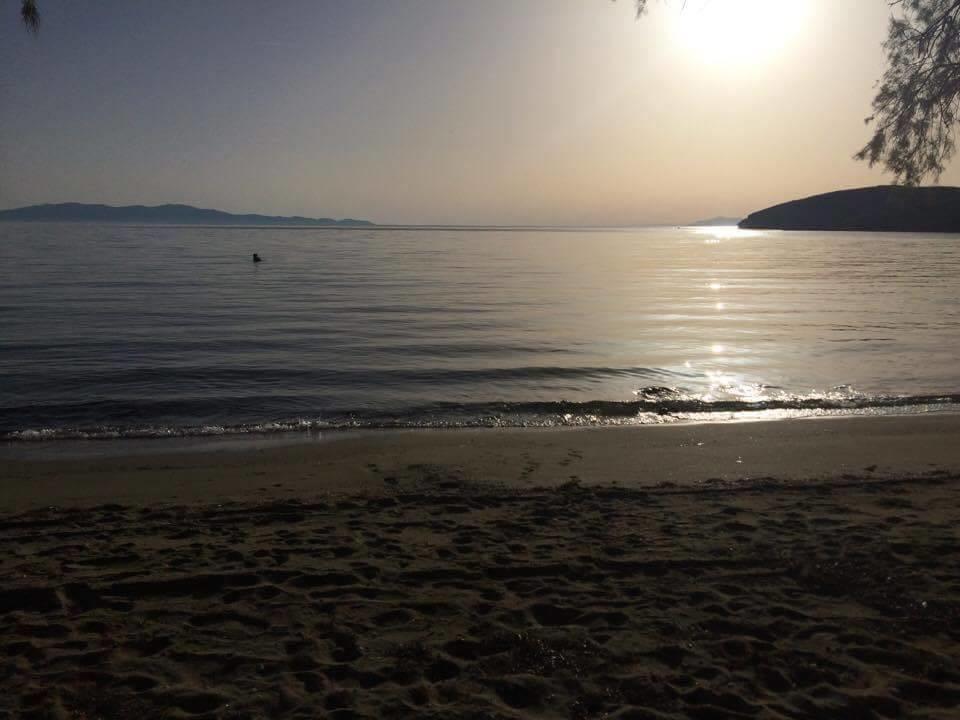 Elia Apartments Agios Romanos Dış mekan fotoğraf